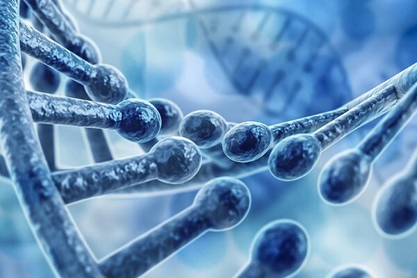 Big data and Google BigQuery improve cancer drug development by detecting bacteria