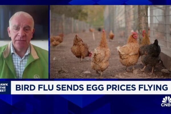 Egg prices threaten Easter dye kit sales